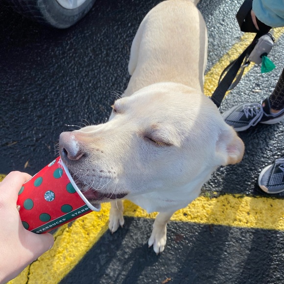 Meet your Posher, Nicole - Picture 5 of 8